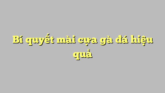 Bí quyết mài cựa gà đá hiệu quả