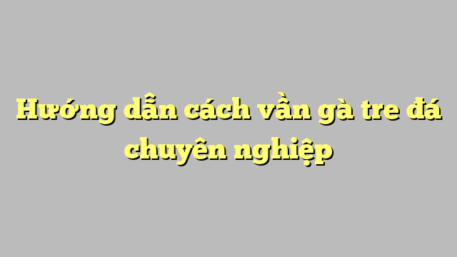 Hướng dẫn cách vần gà tre đá chuyên nghiệp